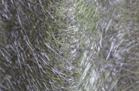 Colliery Row fibreglass roof work